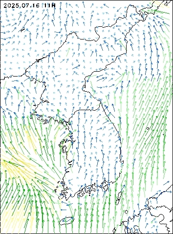 2025-07-16 11 : 00