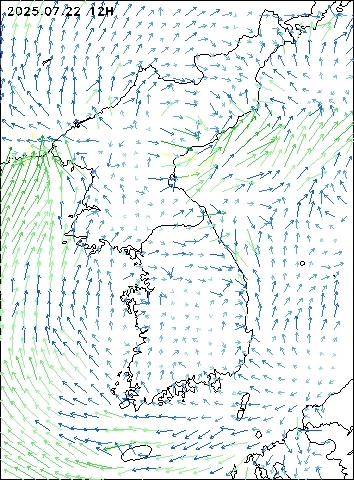 2025-07-22 12 : 00