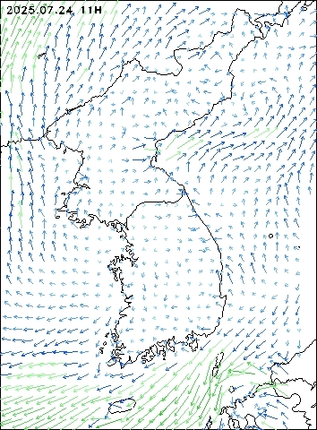 2025-07-24 11 : 00