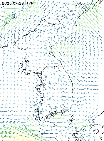 2025-07-29 17 : 00