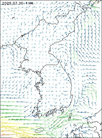 2025-07-30 11 : 00