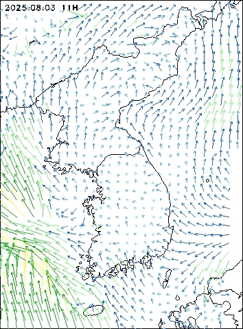 2025-08-03 11 : 00