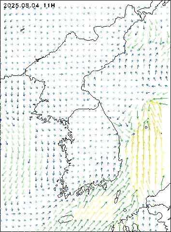 2025-08-04 11 : 00