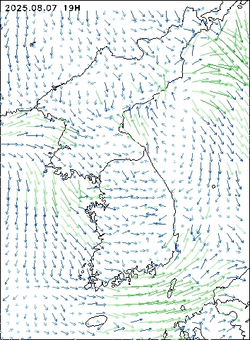 2025-08-07 19 : 00
