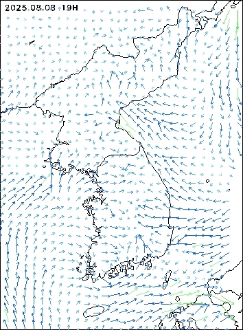 2025-08-08 19 : 00