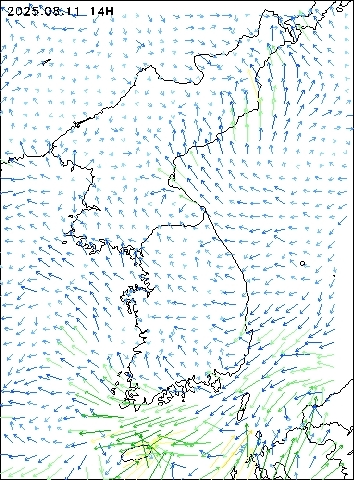 2025-08-11 14 : 00