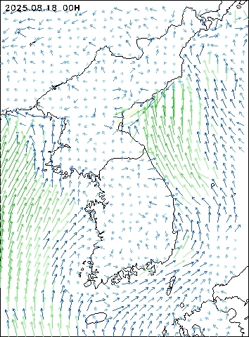 2025-08-18 00 : 00