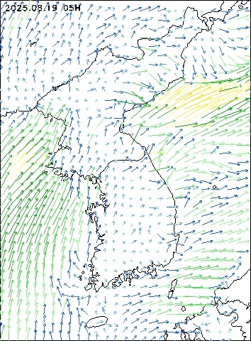 2025-08-19 05 : 00