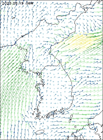 2025-08-19 06 : 00