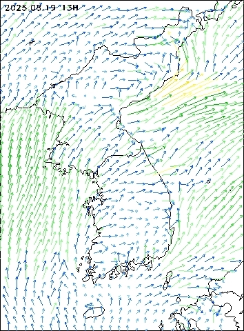 2025-08-19 13 : 00
