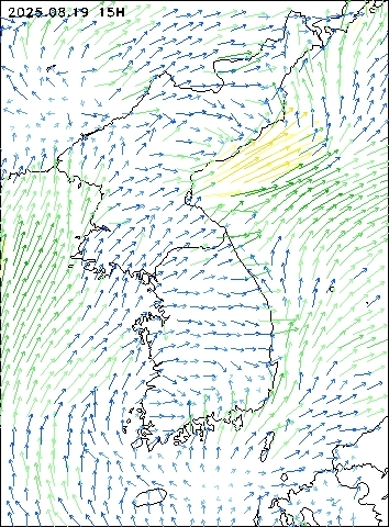 2025-08-19 15 : 00