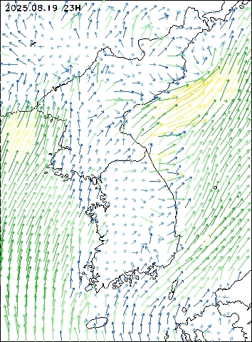 2025-08-19 23 : 00