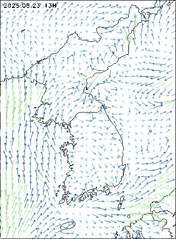 2025-08-23 13 : 00