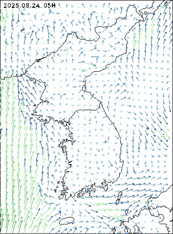 2025-08-24 05 : 00