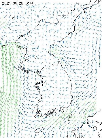 2025-08-28 05 : 00
