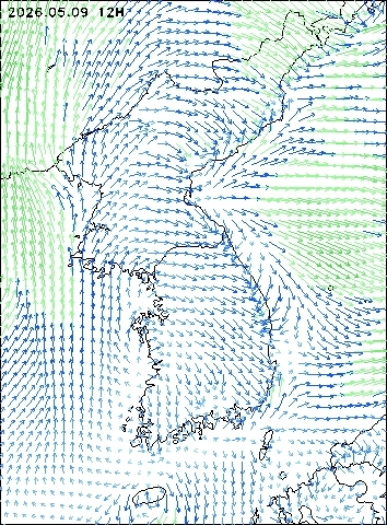 2026-05-09 12 : 00