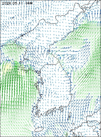 2026-05-11 06 : 00