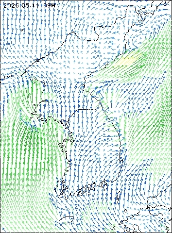 2026-05-11 09 : 00