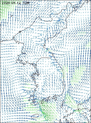 2026-05-12 12 : 00