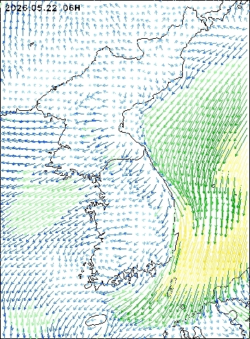 2026-05-22 06 : 00