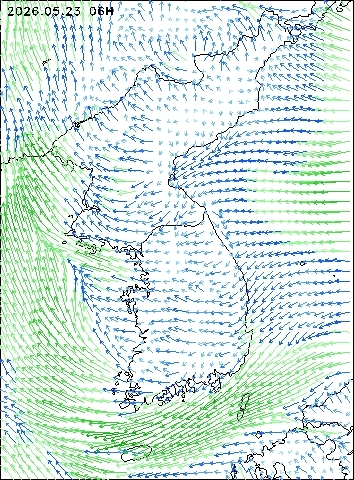 2026-05-23 06 : 00