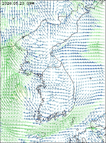 2026-05-23 09 : 00