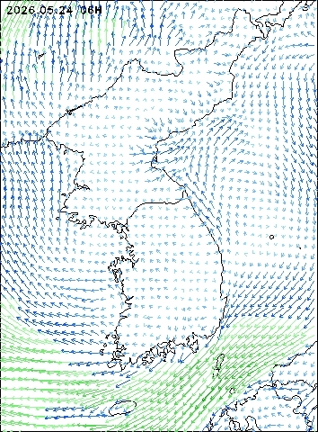 2026-05-24 06 : 00