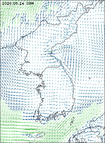 2026-05-24 09 : 00