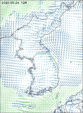 2026-05-24 12 : 00