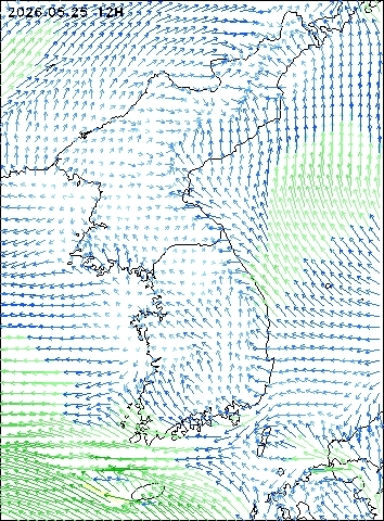 2026-05-25 12 : 00