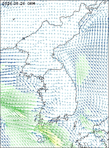 2026-05-26 06 : 00