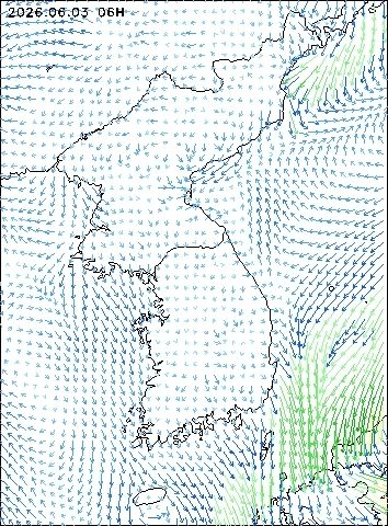 2026-06-03 06 : 00