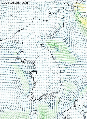 2026-06-06 03 : 00