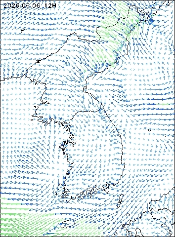 2026-06-06 12 : 00