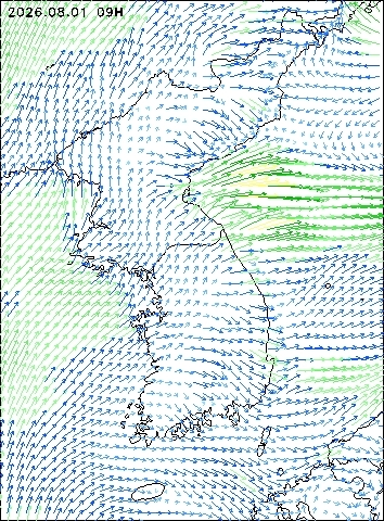 2026-08-01 09 : 00