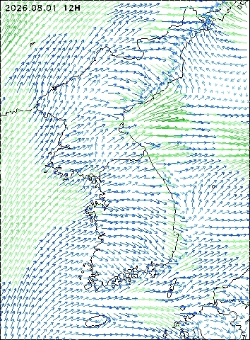 2026-08-01 12 : 00