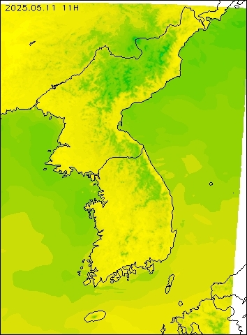 2025-05-11 11 : 00