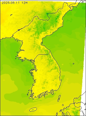 2025-05-11 12 : 00