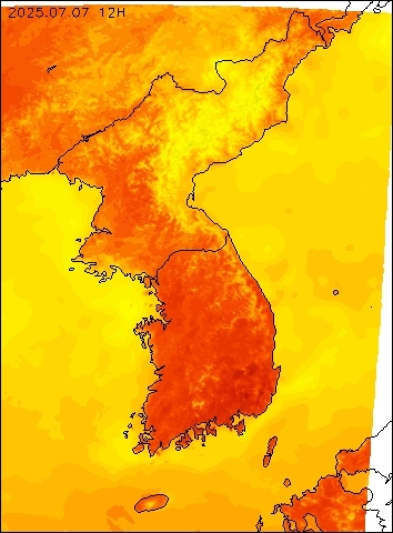 2025-07-07 12 : 00