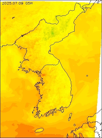 2025-07-09 05 : 00