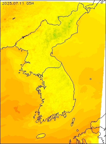 2025-07-11 05 : 00