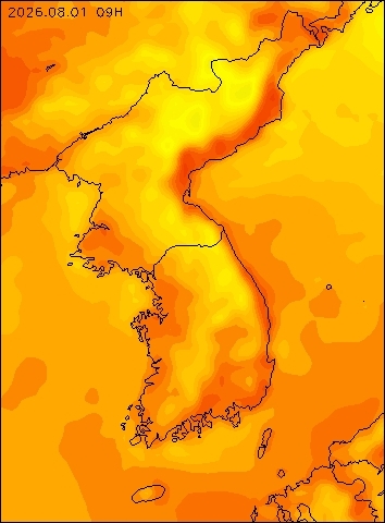 2026-08-01 09 : 00