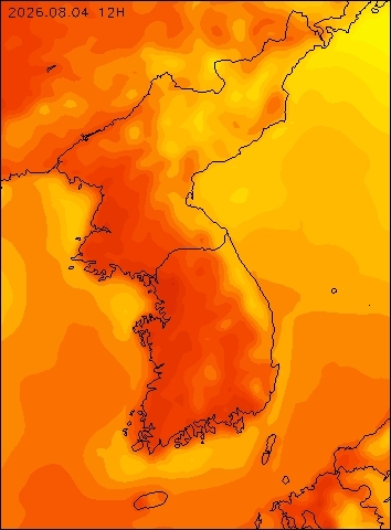2026-08-04 12 : 00