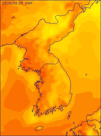 2026-08-05 09 : 00