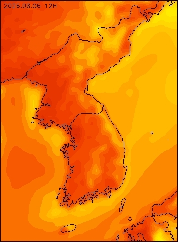 2026-08-06 12 : 00