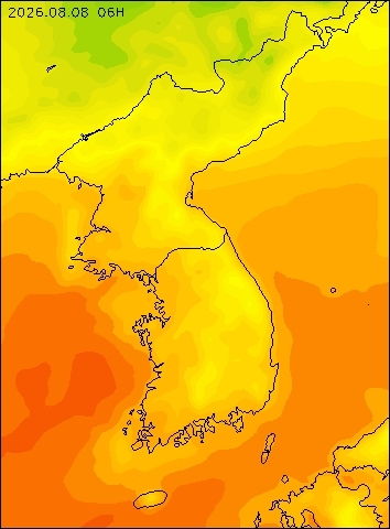 2026-08-08 06 : 00