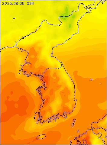 2026-08-08 09 : 00