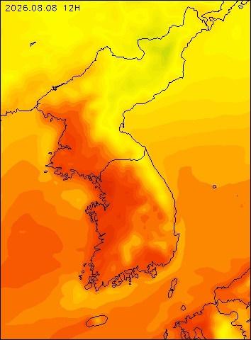 2026-08-08 12 : 00