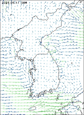 2025-05-11 08 : 00