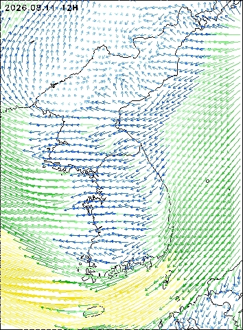 2026-08-11 12 : 00